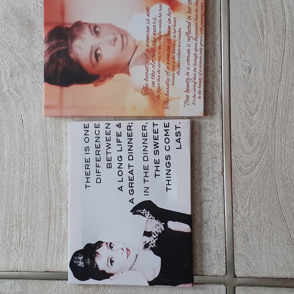 Audrey Hepburn canvas bundle